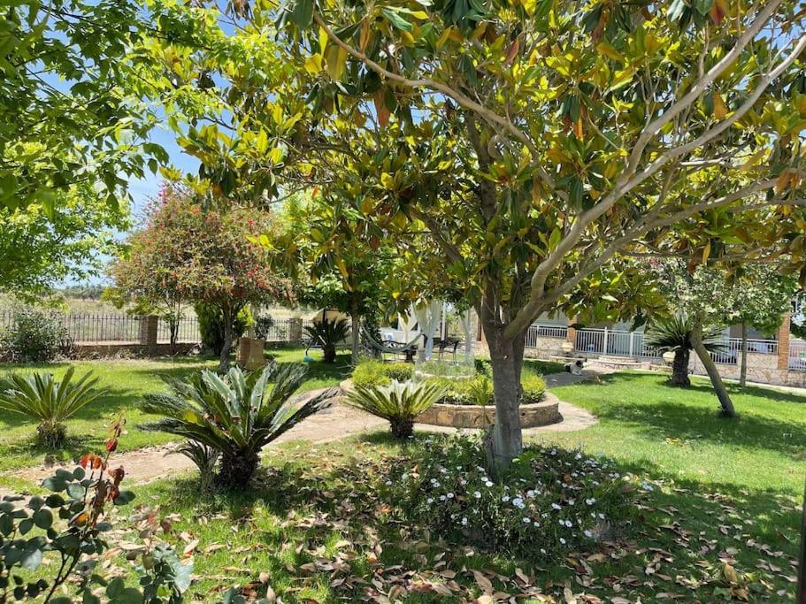 Mama'S Sunshine Garden Villa Agios Ilias  외부 사진