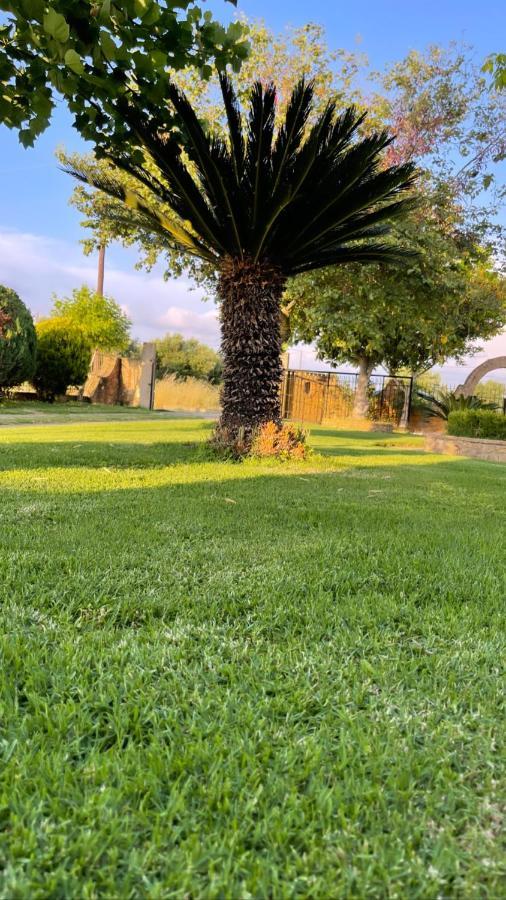 Mama'S Sunshine Garden Villa Agios Ilias  외부 사진