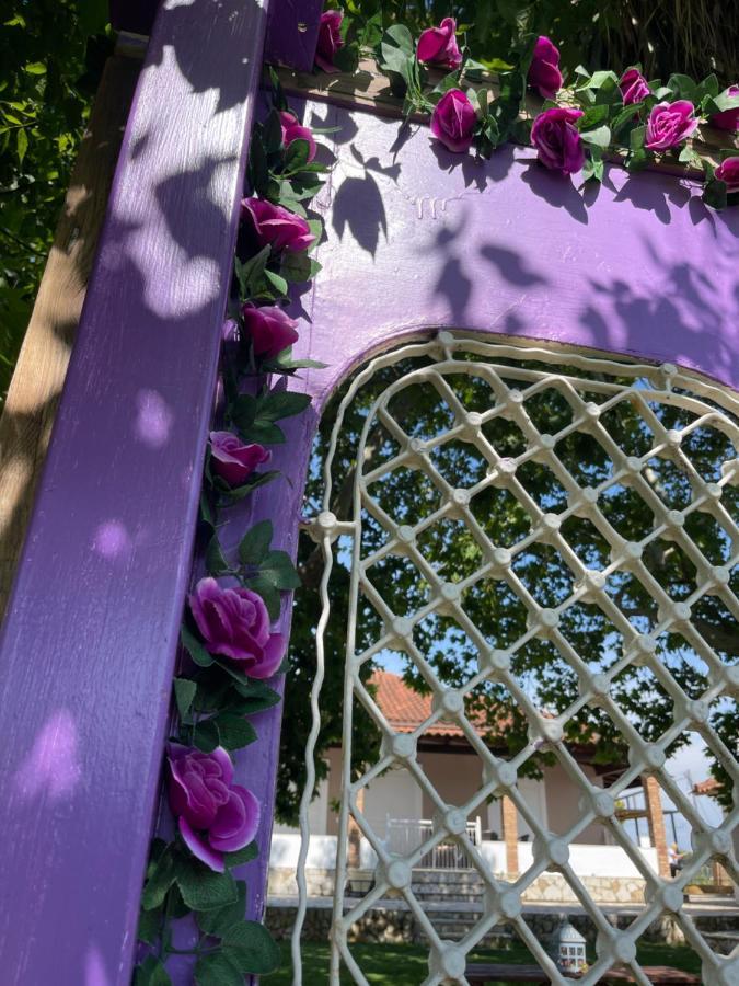 Mama'S Sunshine Garden Villa Agios Ilias  외부 사진