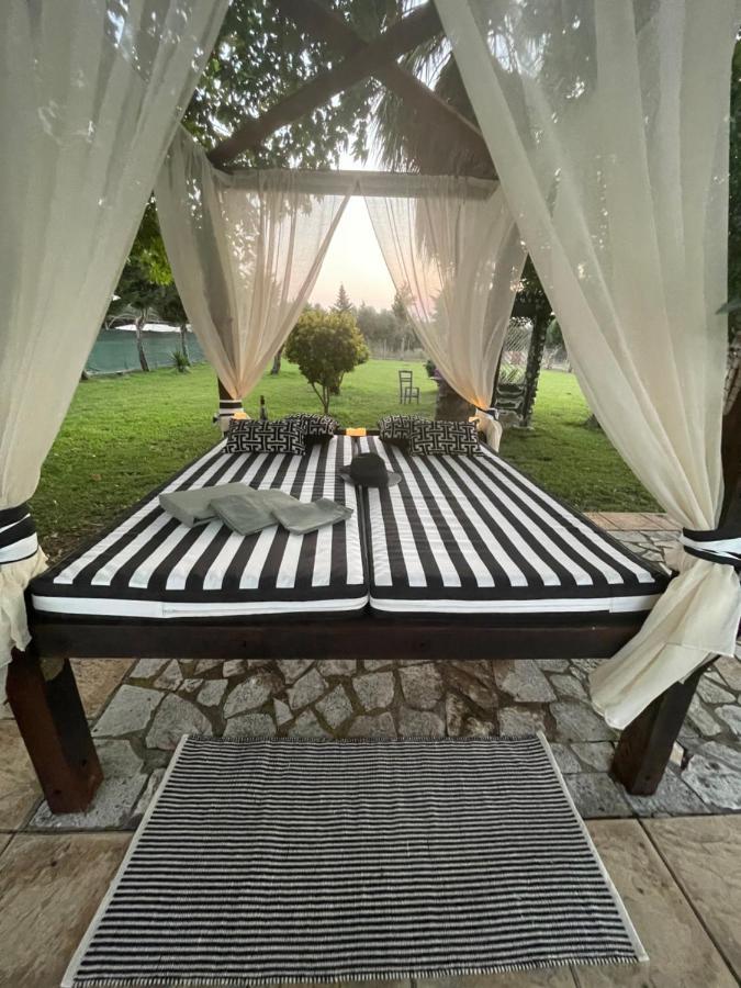 Mama'S Sunshine Garden Villa Agios Ilias  외부 사진