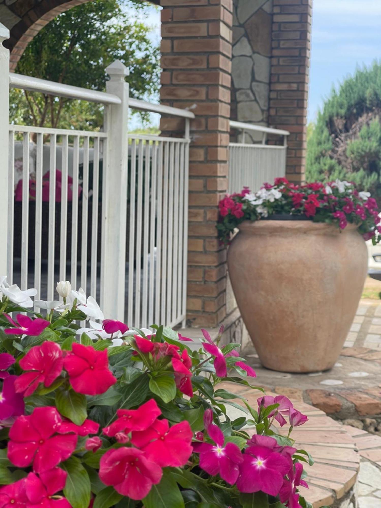 Mama'S Sunshine Garden Villa Agios Ilias  외부 사진