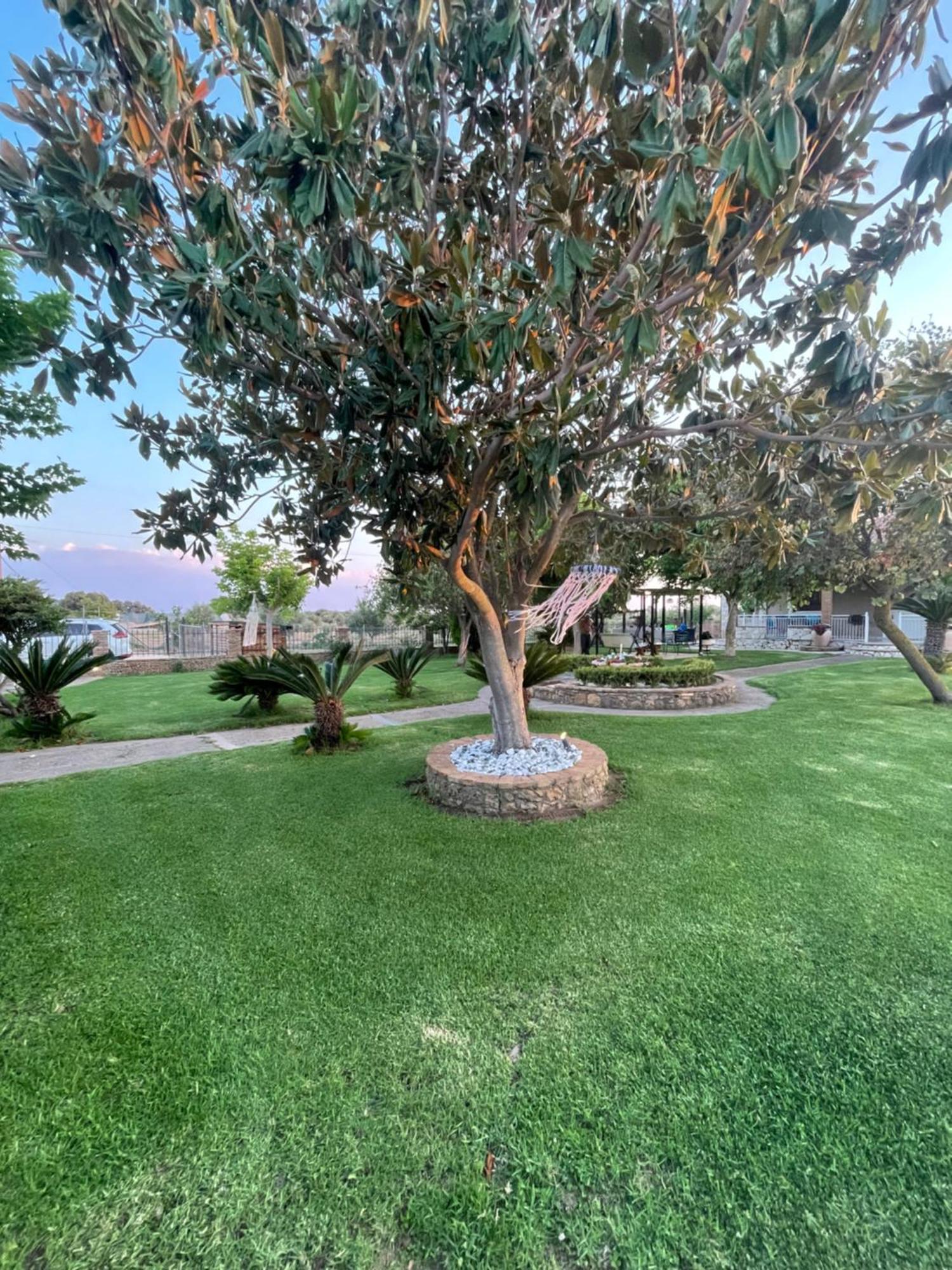 Mama'S Sunshine Garden Villa Agios Ilias  외부 사진