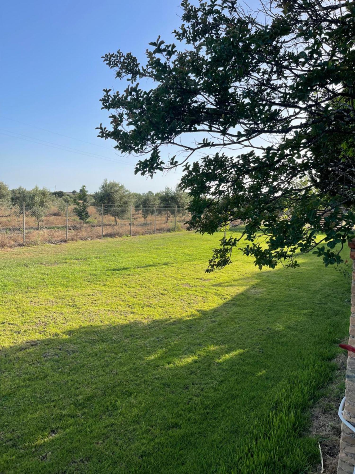 Mama'S Sunshine Garden Villa Agios Ilias  외부 사진