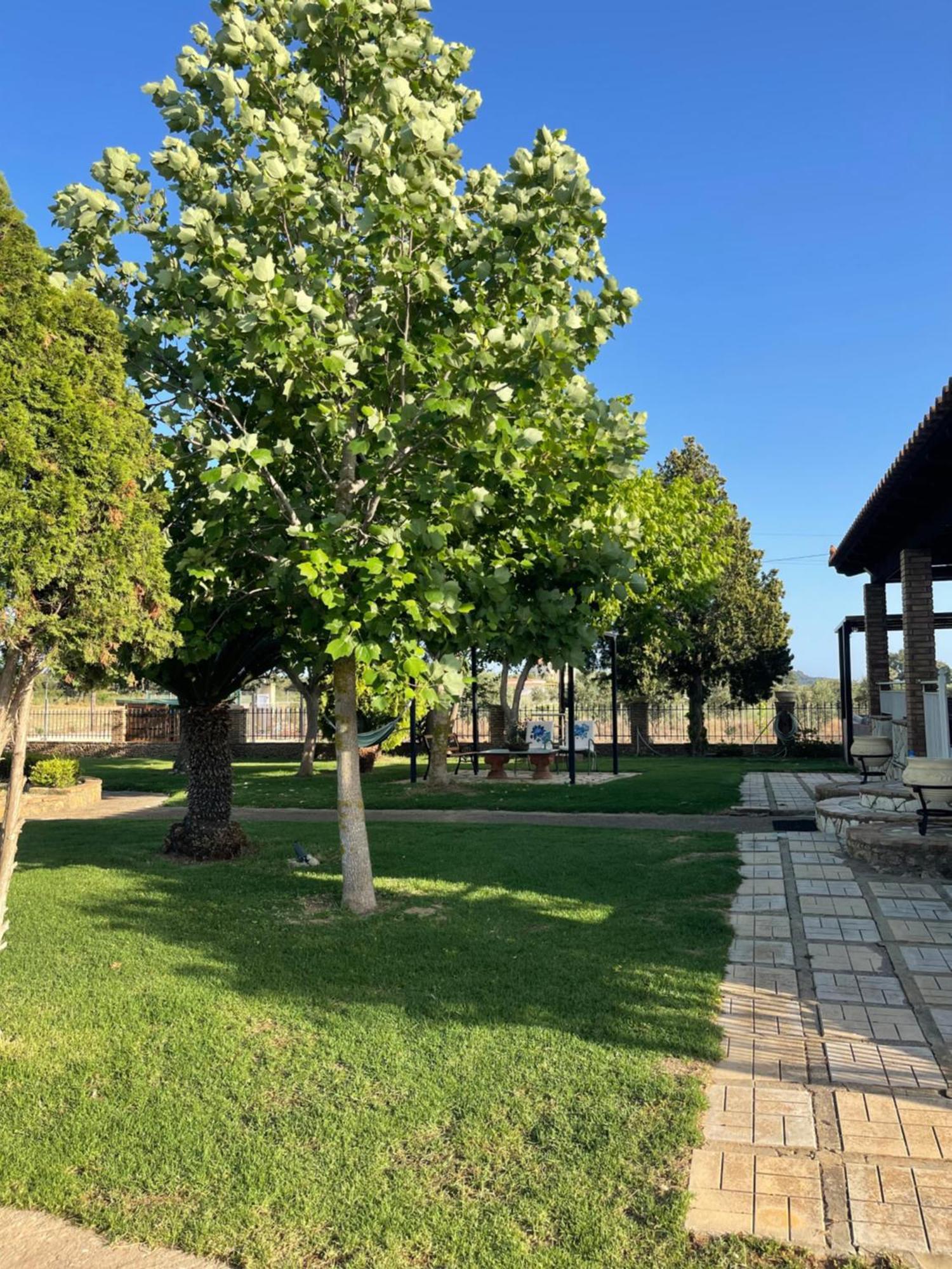 Mama'S Sunshine Garden Villa Agios Ilias  외부 사진